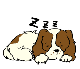 Cavalier King Charles Spaniel festival! sticker #1392047