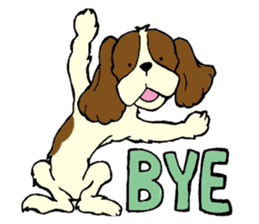 Cavalier King Charles Spaniel festival! sticker #1392049