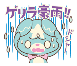 KumaStar Season sticker #1392836