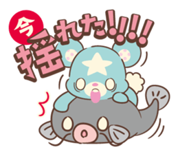 KumaStar Season sticker #1392847