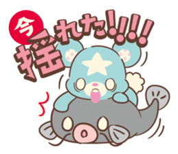 KumaStar Season sticker #1392847