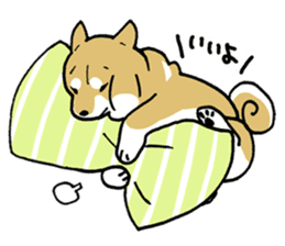 Mammals   Dog family   Shiba sticker #1393930