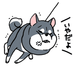 Mammals   Dog family   Shiba sticker #1393931