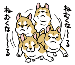 Mammals   Dog family   Shiba sticker #1393941