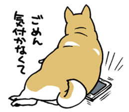 Mammals   Dog family   Shiba sticker #1393942