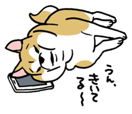 Mammals   Dog family   Shiba sticker #1393943