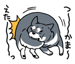 Mammals   Dog family   Shiba sticker #1393944