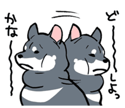 Mammals   Dog family   Shiba sticker #1393945