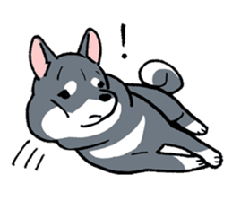 Mammals   Dog family   Shiba sticker #1393953