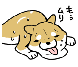 Mammals   Dog family   Shiba sticker #1393955