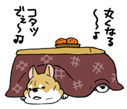 Mammals   Dog family   Shiba sticker #1393956
