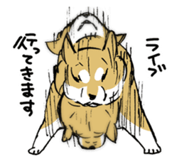 Mammals   Dog family   Shiba sticker #1393957