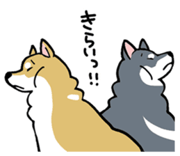 Mammals   Dog family   Shiba sticker #1393959