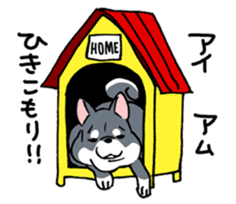 Mammals   Dog family   Shiba sticker #1393961