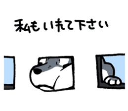 Mammals   Dog family   Shiba sticker #1393962