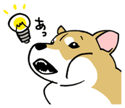 Mammals   Dog family   Shiba sticker #1393964