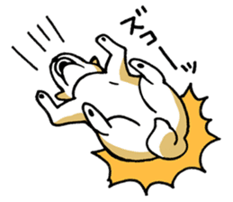 Mammals   Dog family   Shiba sticker #1393965