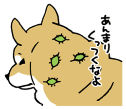 Mammals   Dog family   Shiba sticker #1393968
