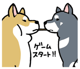 Mammals   Dog family   Shiba sticker #1393969
