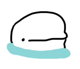 The place where the beluga lives sticker #1396600