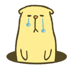 The bear of a hole life sticker #1398184