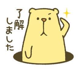 The bear of a hole life sticker #1398197