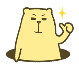 The bear of a hole life sticker #1398201