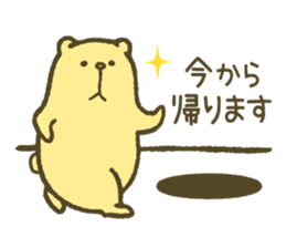 The bear of a hole life sticker #1398206