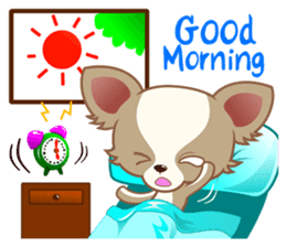 Lucky Chihuahua sticker #1398492