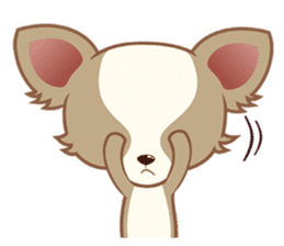 Lucky Chihuahua sticker #1398524