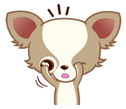 Lucky Chihuahua sticker #1398525