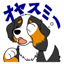 Bernese Mountain Dog Sticker sticker #1398734
