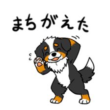 Bernese Mountain Dog Sticker sticker #1398737