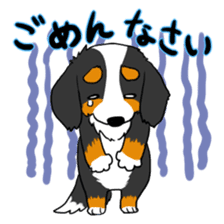 Bernese Mountain Dog Sticker sticker #1398738