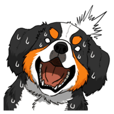 Bernese Mountain Dog Sticker sticker #1398740