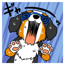 Bernese Mountain Dog Sticker sticker #1398741