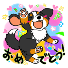 Bernese Mountain Dog Sticker sticker #1398744