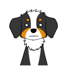 Bernese Mountain Dog Sticker sticker #1398746