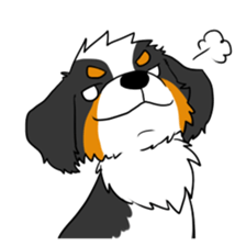 Bernese Mountain Dog Sticker sticker #1398747