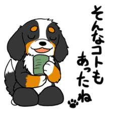 Bernese Mountain Dog Sticker sticker #1398753