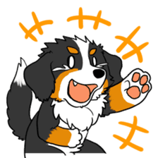 Bernese Mountain Dog Sticker sticker #1398755