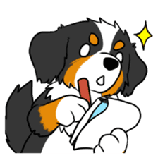 Bernese Mountain Dog Sticker sticker #1398758