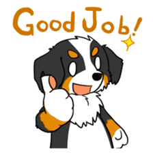 Bernese Mountain Dog Sticker sticker #1398763