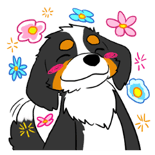 Bernese Mountain Dog Sticker sticker #1398767