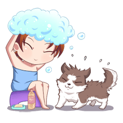 Cocoa Siberian Husky & Eing Eing