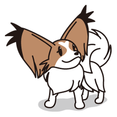 Papillon Happy & Mary