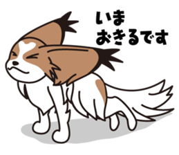 Papillon Happy & Mary sticker #1402716