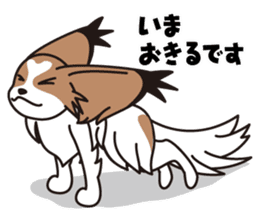 Papillon Happy & Mary sticker #1402716