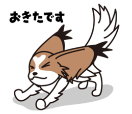 Papillon Happy & Mary sticker #1402717