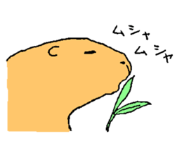 In a relaxed mood! A capybara!! sticker #1404891